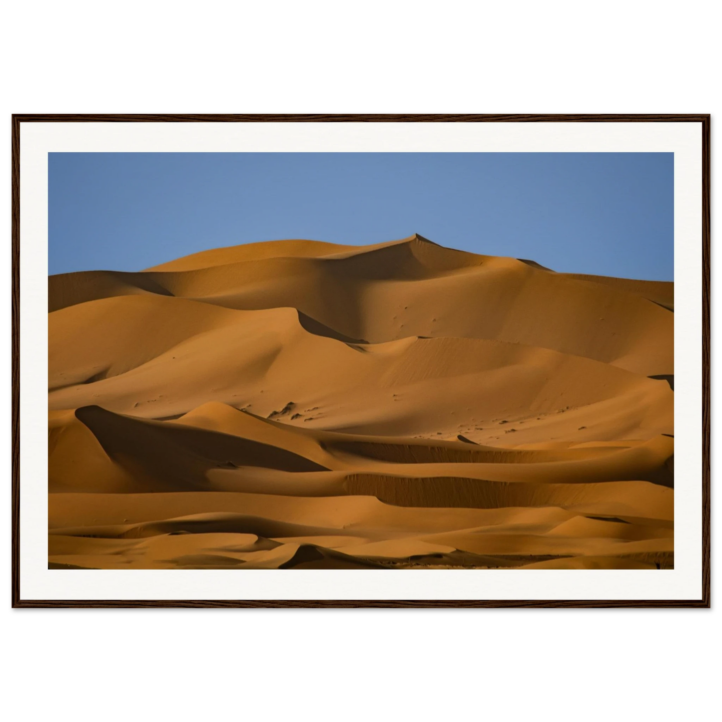 3fca72c0-723e-4591-99c5-1833cd11ebd7