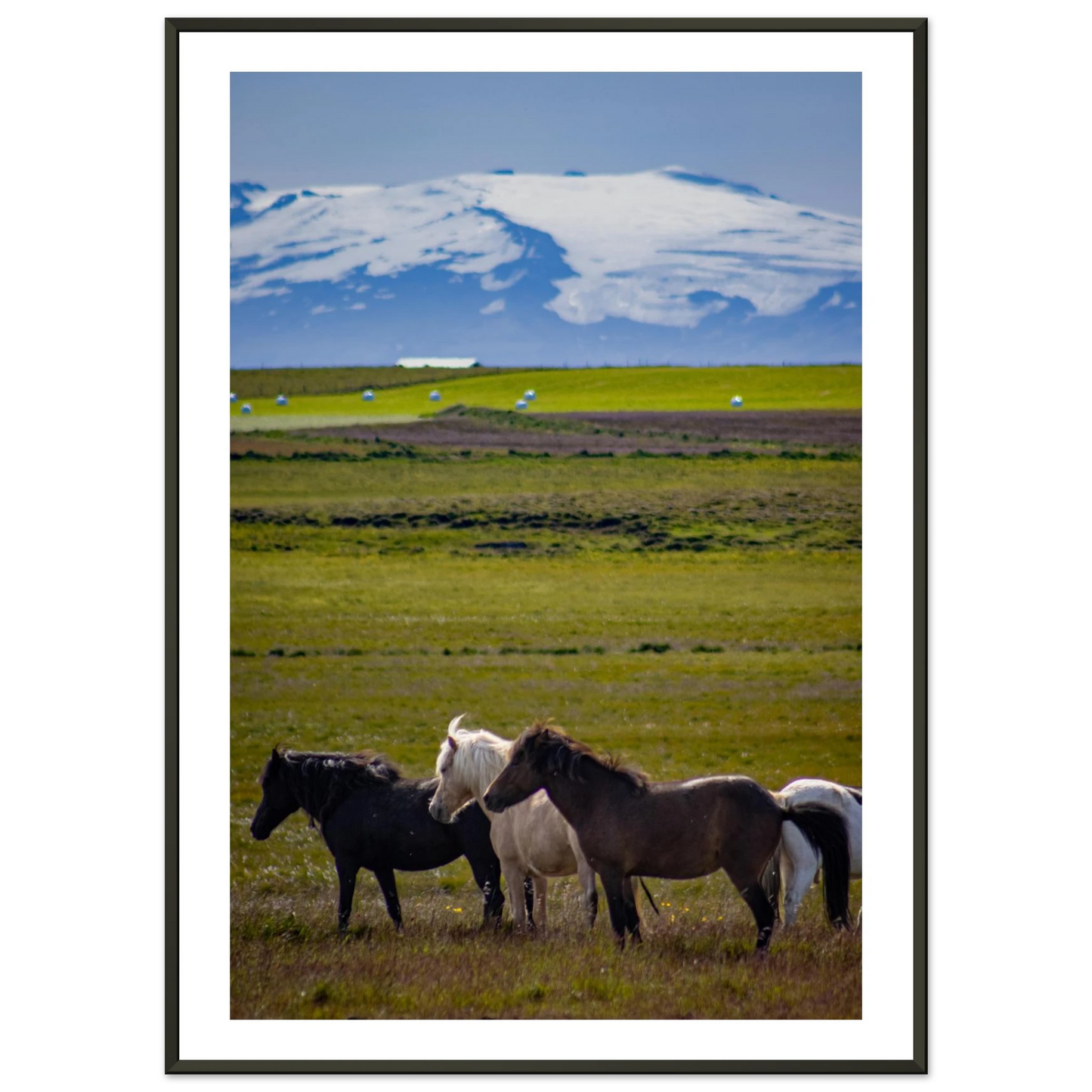 6eb9a49e-ae96-40c9-b781-db829232bd17