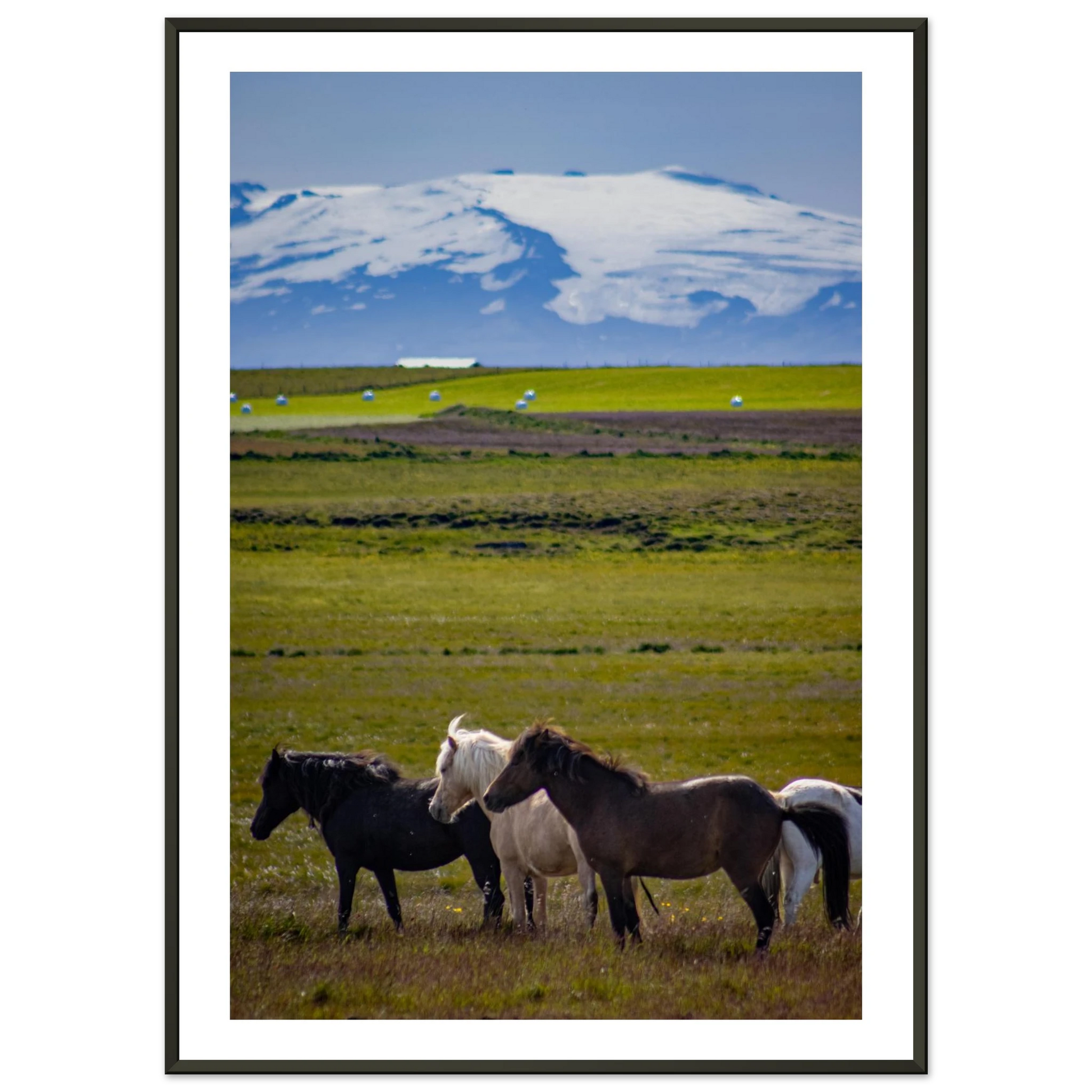 6eb9a49e-ae96-40c9-b781-db829232bd17