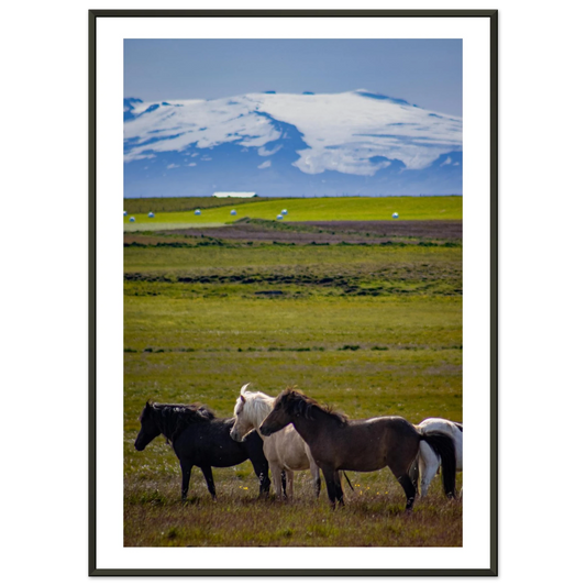 6eb9a49e-ae96-40c9-b781-db829232bd17