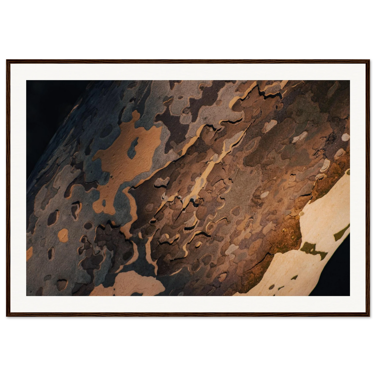 83e11f8e-82f2-4747-91bf-18450ad0649f