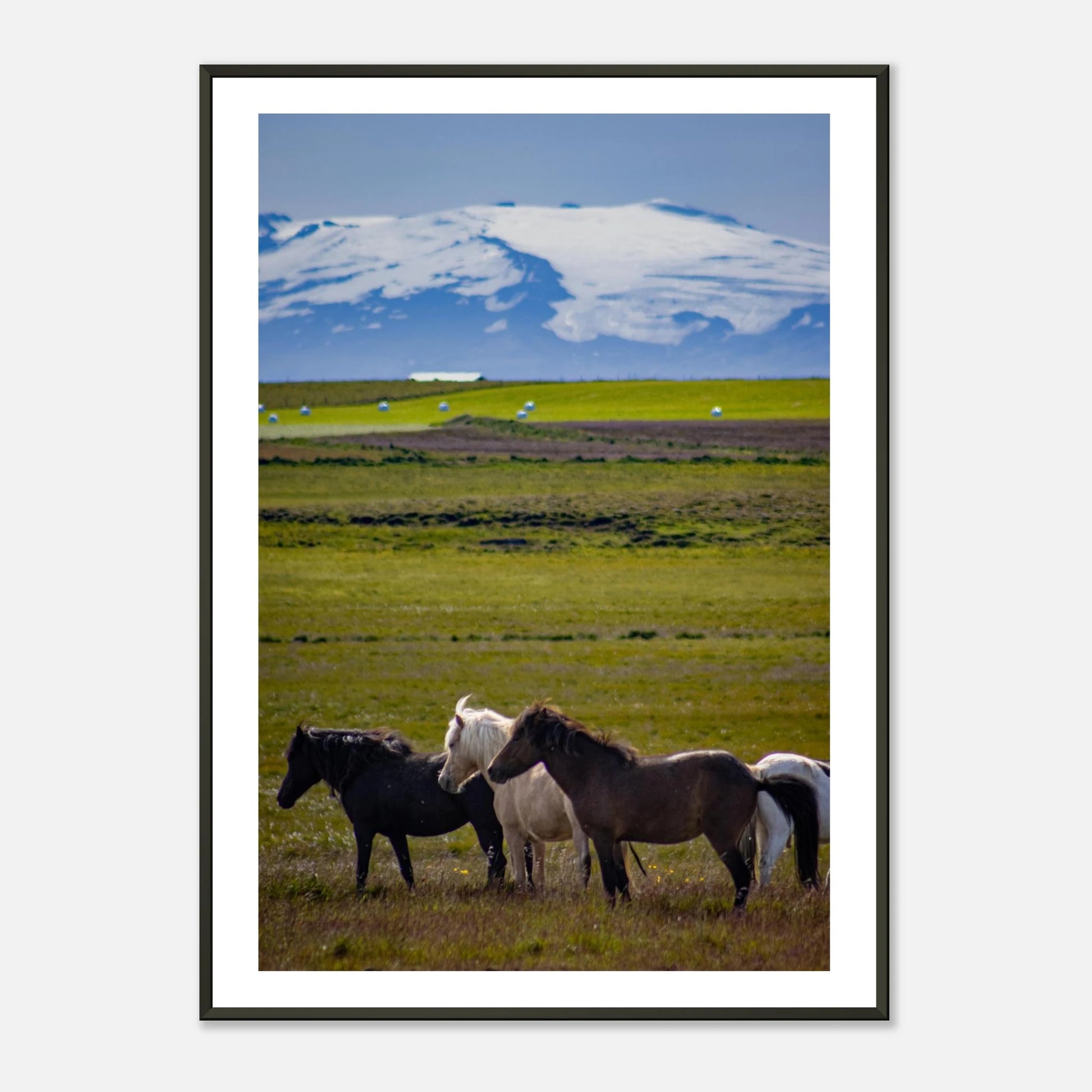 cfdd87ec-9216-4975-a748-b61b36fab942