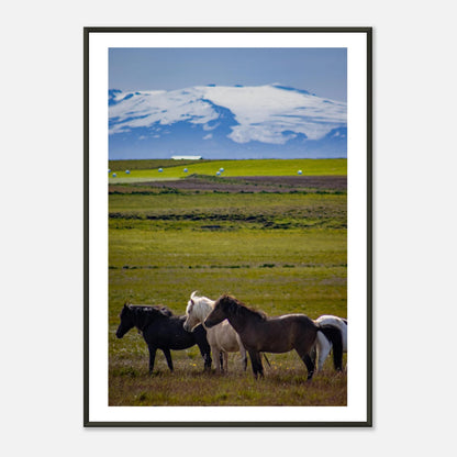 cfdd87ec-9216-4975-a748-b61b36fab942